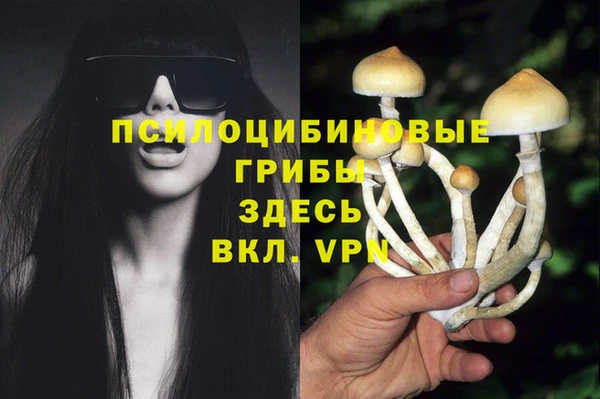 бутират Алексеевка