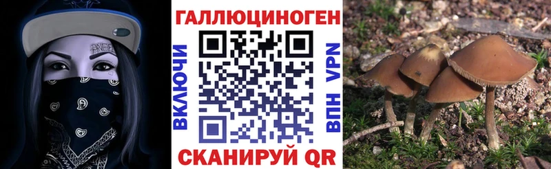 Псилоцибиновые грибы Magic Shrooms  Родники 
